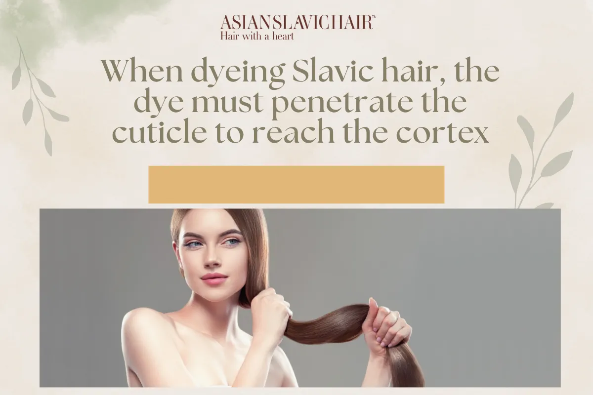 When dyeing Slavic hair, the dye must penetrate the cuticle to reach the cortex.